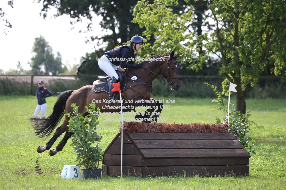 Preview eva terpeluk mit uni s brown cookie IMG_0827.jpg